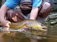 Guided Day on The Upper Grand River - June 13th and 14th, 2019